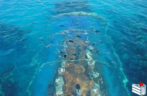 Уникальный подводный ресторан "Ithaa" на Мальдивах.